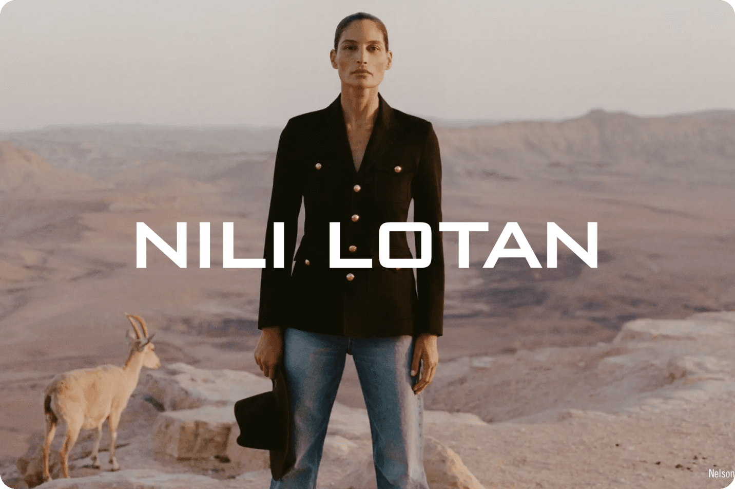 Nili Lotan